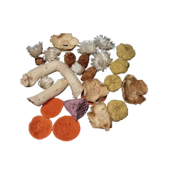 SZÁRAZVIRÁGOK- TERMÉSEK ,  DEKORANYAGOK,  MIXED 2