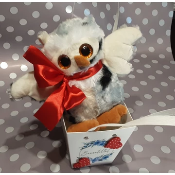 PIROSMASNIS  PLÜSS  BAGOLY  TÁSKÁBAN  20  ×  20  CM