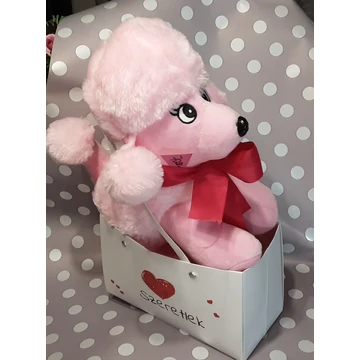 USZKÁR  KUTYUS  TÁSKÁBAN  30×40 CM