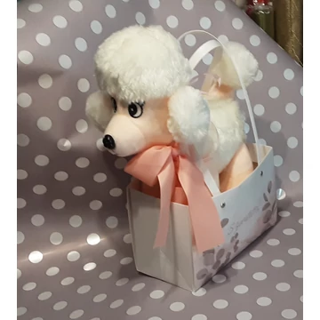 USZKÁR  KUTYUS  TÁSKÁBAN  30  ×  40  CM