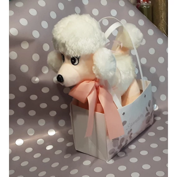 USZKÁR  KUTYUS  TÁSKÁBAN  30  ×  40  CM